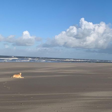 Вілла Neues Ferienhaus Chalet Nr73 Direkt Am Wattenmeer, Komplett Eingezaeunt Westerland Екстер'єр фото