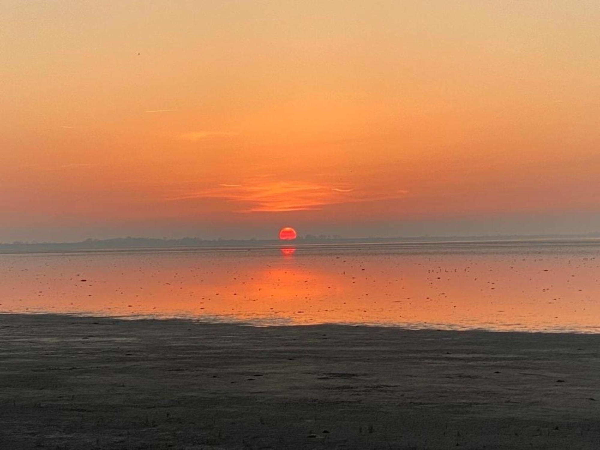 Вілла Neues Ferienhaus Chalet Nr73 Direkt Am Wattenmeer, Komplett Eingezaeunt Westerland Екстер'єр фото